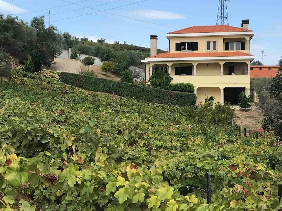 فيلا Casa Dos Copins لاميغو المظهر الخارجي الصورة