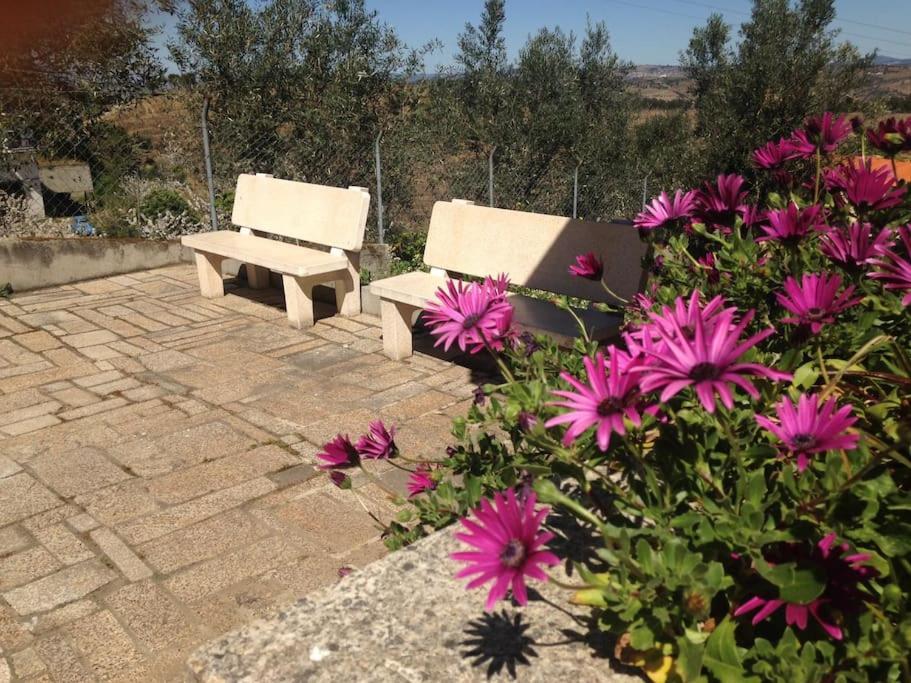 فيلا Casa Dos Copins لاميغو المظهر الخارجي الصورة
