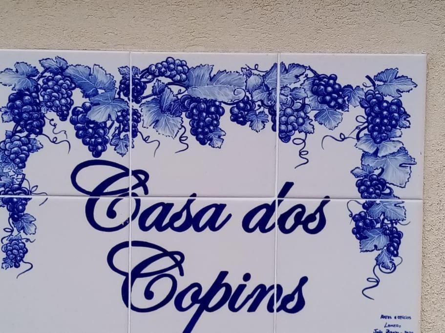 فيلا Casa Dos Copins لاميغو المظهر الخارجي الصورة